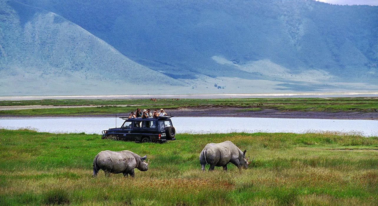 Zapovednik Ngorongoro 2